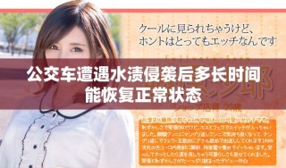 公交車遭遇水漬侵襲后多長時間能恢復(fù)正常狀態(tài)
