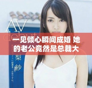 一見傾心瞬間成婚 她的老公竟然是總裁大人