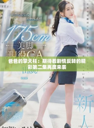 爸爸的擎天柱：期待著劇情反轉(zhuǎn)的精彩第二集再度來襲