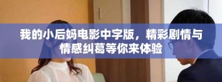 我的小后媽電影中字版，精彩劇情與情感糾葛等你來體驗(yàn)