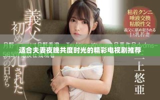 適合夫妻夜晚共度時(shí)光的精彩電視劇推薦