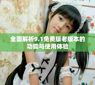 全面解析9.1免費版老版本的功能與使用體驗