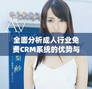 全面分析成人行業(yè)免費(fèi)CRM系統(tǒng)的優(yōu)勢(shì)與應(yīng)用技巧