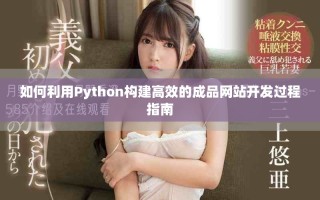 如何利用Python構建高效的成品網(wǎng)站開發(fā)過程指南