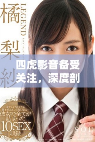 四虎影音備受關(guān)注，深度剖析其影響力與未來發(fā)展方向