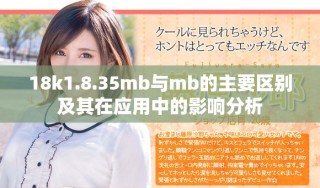 18k1.8.35mb與mb的主要區(qū)別及其在應(yīng)用中的影響分析