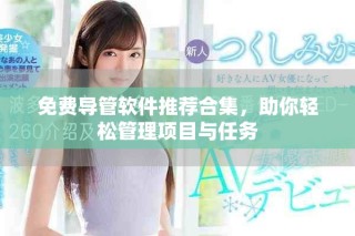 免費導(dǎo)管軟件推薦合集，助你輕松管理項目與任務(wù)