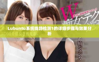 Lubuntu系統(tǒng)線路檢測1的詳細(xì)步驟與效果分析