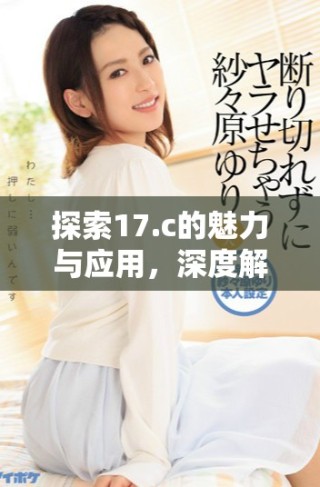 探索17.c的魅力與應(yīng)用，深度解析其功能與潛力