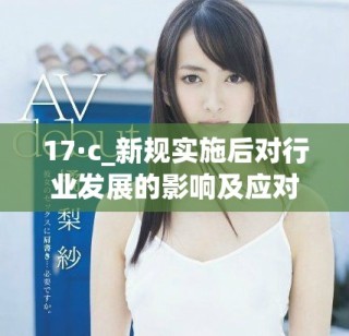 17·c_新規(guī)實施后對行業(yè)發(fā)展的影響及應(yīng)對策略分析