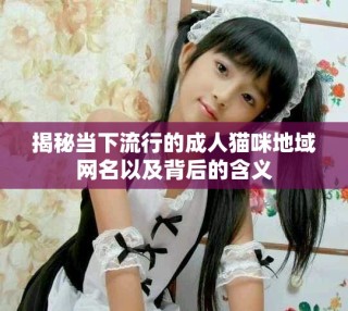揭秘當(dāng)下流行的成人貓咪地域網(wǎng)名以及背后的含義
