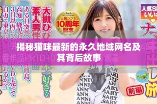 揭秘貓咪最新的永久地域網(wǎng)名及其背后故事