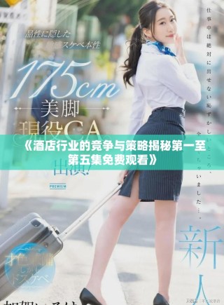 《酒店行業(yè)的競(jìng)爭(zhēng)與策略揭秘第一至第五集免費(fèi)觀看》