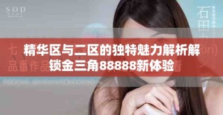 精華區(qū)與二區(qū)的獨特魅力解析解鎖金三角88888新體驗