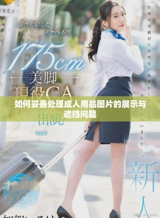 如何妥善處理成人用品圖片的展示與遮擋問題