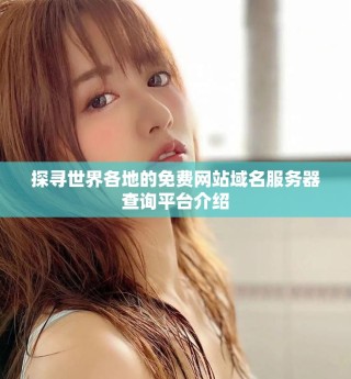 探尋世界各地的免費(fèi)網(wǎng)站域名服務(wù)器查詢平臺介紹