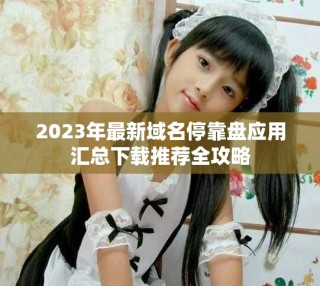2023年最新域名?？勘P應用匯總下載推薦全攻略
