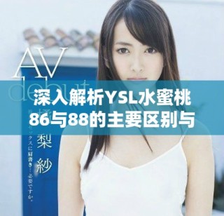 深入解析YSL水蜜桃86與88的主要區(qū)別與使用體驗
