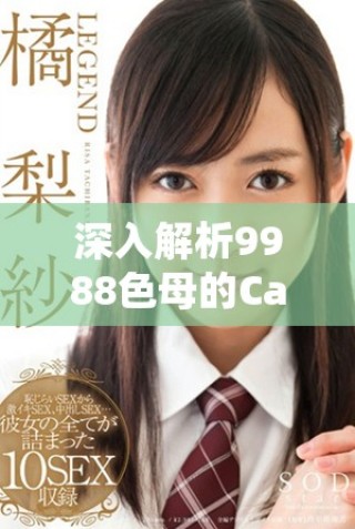 深入解析9988色母的Camds成分構(gòu)成與應(yīng)用優(yōu)勢(shì)