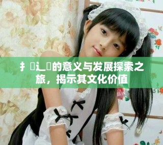 扌喿辶畐的意義與發(fā)展探索之旅，揭示其文化價(jià)值