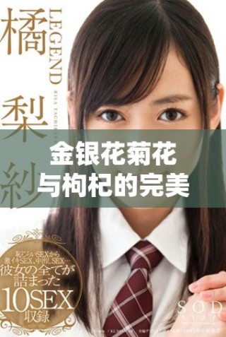 金銀花菊花與枸杞的完美結(jié)合提升免疫力與養(yǎng)生效果