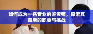 如何成為一名專業(yè)的鑒黃師，探索其背后的職責(zé)與挑戰(zhàn)