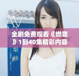 全劇免費觀看《燃罪》1到40集精彩內(nèi)容與角色深度解析