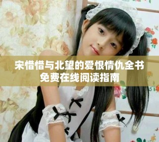 宋惜惜與北望的愛恨情仇全書免費(fèi)在線閱讀指南