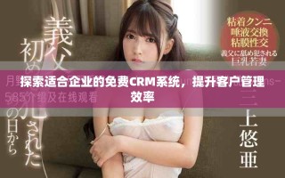 探索適合企業(yè)的免費(fèi)CRM系統(tǒng)，提升客戶管理效率