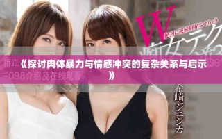 《探討肉體暴力與情感沖突的復(fù)雜關(guān)系與啟示》