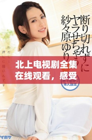 北上電視劇全集在線觀看，感受動(dòng)人故事與精彩演繹