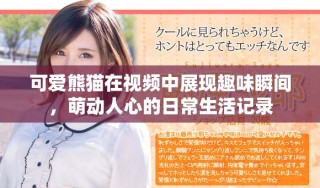 可愛熊貓?jiān)谝曨l中展現(xiàn)趣味瞬間，萌動人心的日常生活記錄