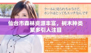 仙臺(tái)市森林資源豐富，樹木種類繁多引人注目