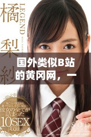 國外類似B站的黃岡網(wǎng)，一起來了解其特色與優(yōu)勢吧！