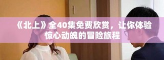 《北上》全40集免費(fèi)欣賞，讓你體驗(yàn)驚心動魄的冒險(xiǎn)旅程