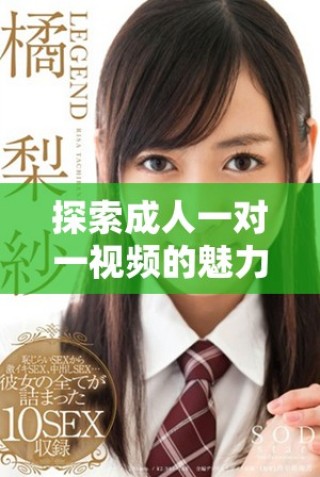 探索成人一對一視頻的魅力與趨勢，提升互動體驗(yàn)的新方式