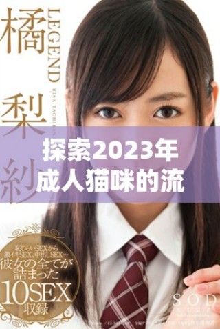 探索2023年成人貓咪的流行地域網(wǎng)名有哪些新趨向