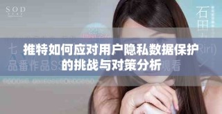 推特如何應(yīng)對用戶隱私數(shù)據(jù)保護(hù)的挑戰(zhàn)與對策分析