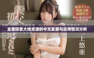 全面探索大地資源的中文發(fā)展與應(yīng)用情況分析