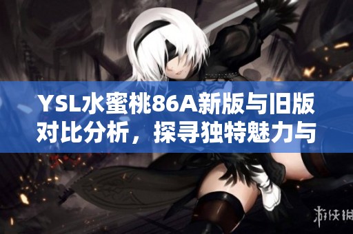 YSL水蜜桃86A新版與舊版對(duì)比分析，探尋獨(dú)特魅力與變化之處