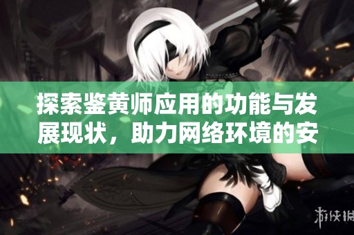 探索鑒黃師應(yīng)用的功能與發(fā)展現(xiàn)狀，助力網(wǎng)絡(luò)環(huán)境的安全與健康