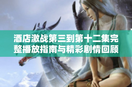 酒店激戰(zhàn)第三到第十二集完整播放指南與精彩劇情回顧