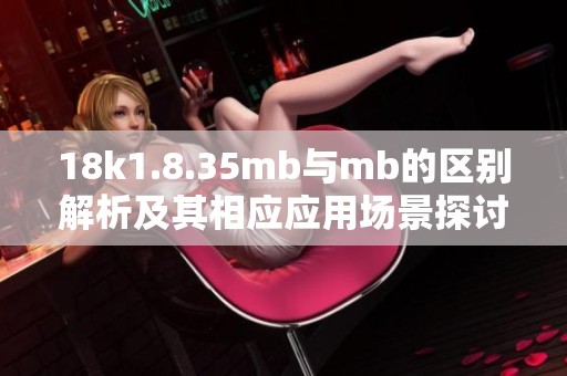 18k1.8.35mb與mb的區(qū)別解析及其相應(yīng)應(yīng)用場景探討
