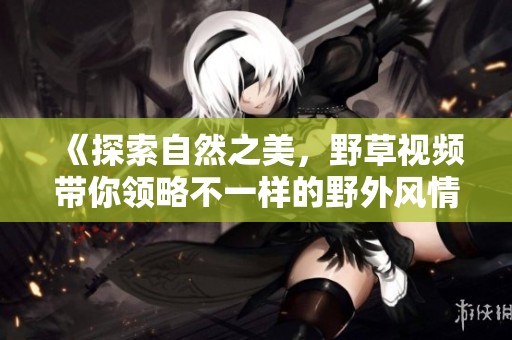 《探索自然之美，野草視頻帶你領(lǐng)略不一樣的野外風(fēng)情》