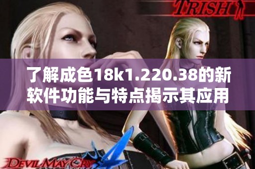 了解成色18k1.220.38的新軟件功能與特點揭示其應(yīng)用潛力