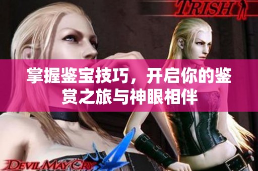 掌握鑒寶技巧，開(kāi)啟你的鑒賞之旅與神眼相伴