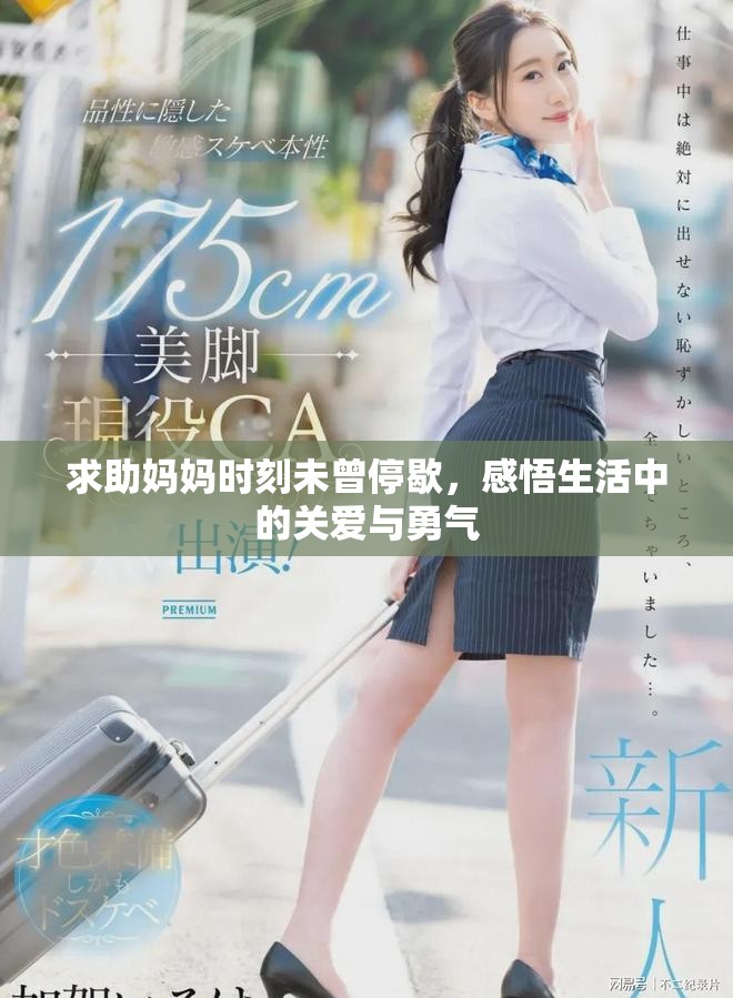 求助媽媽時刻未曾停歇，感悟生活中的關(guān)愛與勇氣