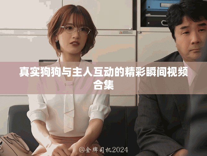 真實狗狗與主人互動的精彩瞬間視頻合集