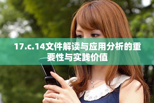 17.c.14文件解讀與應(yīng)用分析的重要性與實(shí)踐價(jià)值