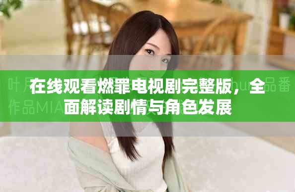 在線觀看燃罪電視劇完整版，全面解讀劇情與角色發(fā)展